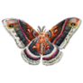 Highly Detailed Butterfly/Moth Sticker