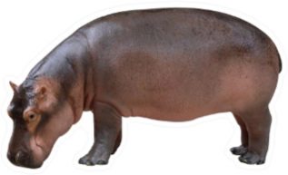 Hippopotamus Side View Sticker