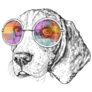 Hipster Beagle Sticker