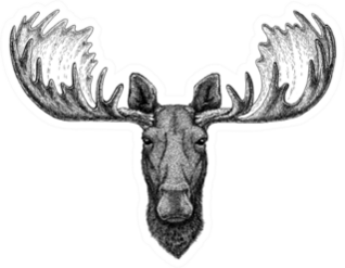 Hipster Moose Sketch Sticker