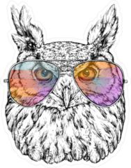 Hipster Owl With Aviator Sunglasses Sticker