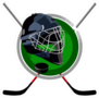 Hockey Puck and Green Helmet In The Form Of Sticks Sticker