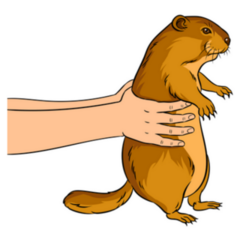 Holding Out A Groundhog Pop Art Sticker