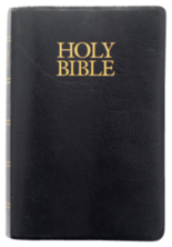 Holy Bible Sticker