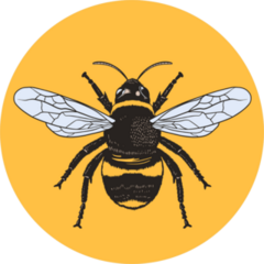 Honey Bee Circle Sticker