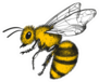 Honey Bee Engraving Sticker