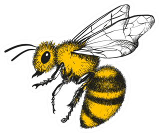 Honey Bee Engraving Sticker