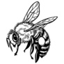 Honey Bee Flying Illustration Sticker