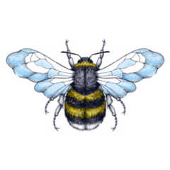 Honey Bee Light Watercolor Wings Sticker