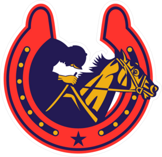 Horse And Jockey In Horseshoe Sticker
