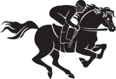 Horse and Jockey Silhouette Sticker