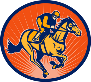 Horse And Jockey Sunburst Circle Sticker