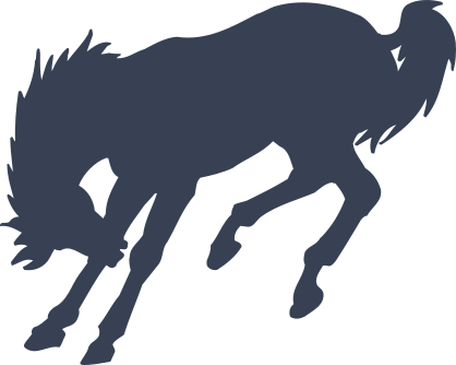 Horse Bucking Sticker