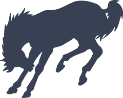 Horse Bucking Sticker