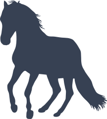 Horse Dancing Sticker