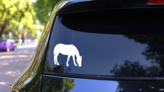 Horse Gazing Sticker on a Rear Car Window (New) example