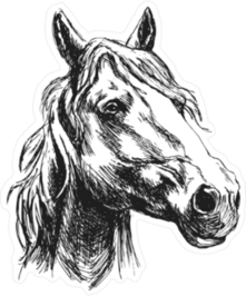 Horse Head Sketch Sticker