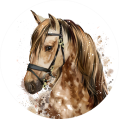 Horse Head Watercolor Drawing Sticker