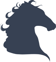 Horse Head With Curly Hair Sticker