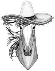 Horse in Sombrero Sticker