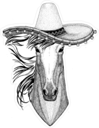 Horse in Sombrero Sticker