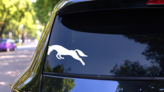 Horse Leaping Sticker on a Rear Car Window (New) example