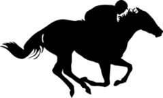 Horse Racing Sticker