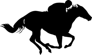 Horse Racing Sticker