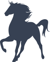 Horse Raising Leg Sticker