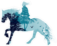 Horse Rider Silhouette Forest Scene Sticker