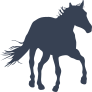 Horse Running Forward Sticker