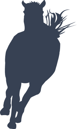 Horse Running Forward With Tail Flying Up Sticker