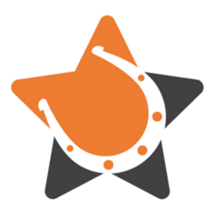 Horse Shoe Star Icon Sticker