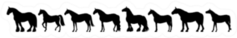 Horse Silhouette Banner Sticker