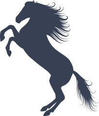 Horse With Lovely Hair Sticker