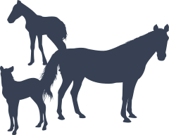 Horse With Two Foals Sticker