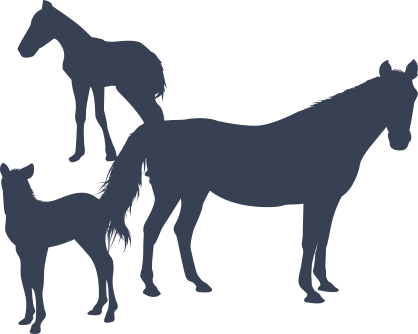 Horse With Two Foals Sticker