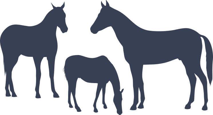 Horses Family Sticker