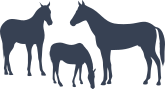 Horses Family Sticker