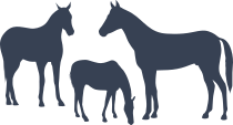 Horses Family Sticker