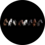 Horses On Black Background Sticker