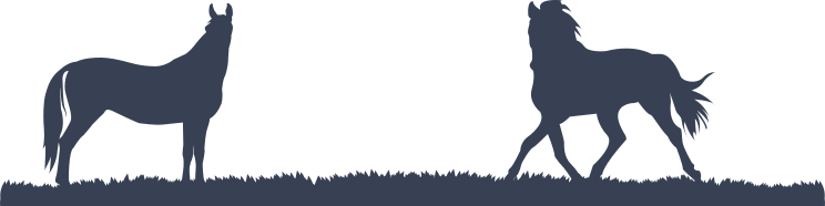 Horses On Field Sticker