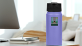 House Cross Stitch Sticker on a Water Bottle (New) example