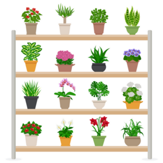 Houseplants And Bright Flowers In Blossom On Shelves Sticker