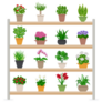 Houseplants And Bright Flowers In Blossom On Shelves Sticker