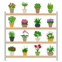 Houseplants And Bright Flowers In Blossom On Shelves Sticker