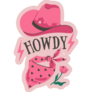 Howdy Pink Cowboy Hat And Bandana Sticker