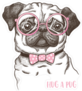 Hug a Pug Sticker