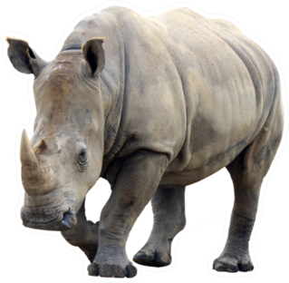 Huge Rhino Isolated Sticker