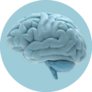 Human Brain BlueOn Blue Sticker